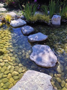 Stone Path across a tranquil pond at a Japanese Garden